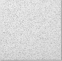 acoustical ceiling tiles