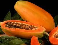 SPRAY DRIED PAPAYA FRUIT POWDER