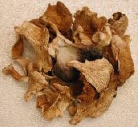 dehydrated oyster mushrooms