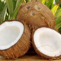 Fresh Coconut