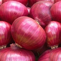 Fresh Red Onion