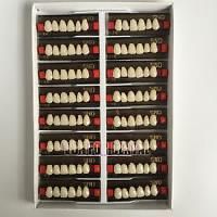 Acrylic Teeth Set