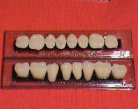 Acrylic Teeth Set