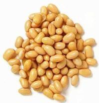 Soya Bean Seeds