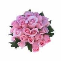20 Pink Roses