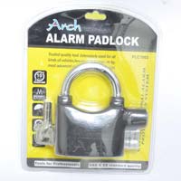 Arch alarm lock