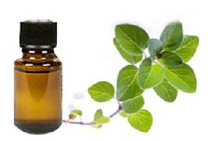 Oregano Oil