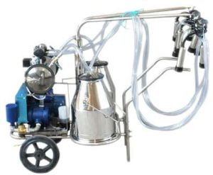 dairy milking machine