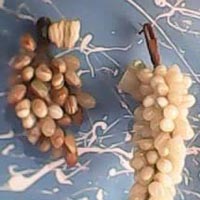 Marble Grapes