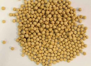 Australian Yellow Peas