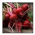 Fresh Beetroot