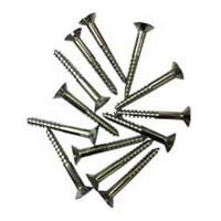 SS Polished Wood Screws