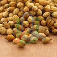 Coriander Seeds