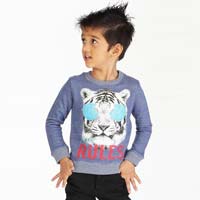 Tiger Rules - Trendy Boys Casual Tees