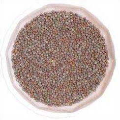 Black Mustard Seeds