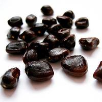 Tamarind Kernel Seeds