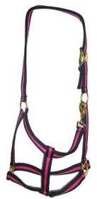 Horse Halters