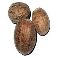 Nutmeg Oleoresin