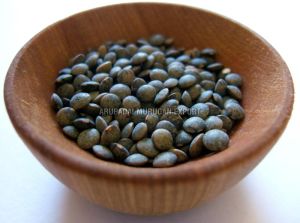 Puy Lentil