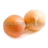 Fresh Yellow Onion