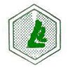 thane/laurice-labs-107526 logo