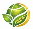 Akshika Global Traders