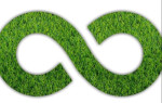 jodhpur/infinity-green-enterprises-11276581 logo