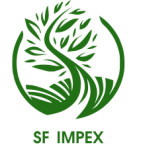 ahmedabad/sf-impex-11286106 logo