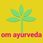 burhanpur/om-ayurveda-shahpur-burhanpur-11370923 logo