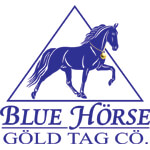jalandhar/blue-horse-gold-tag-company-babu-labh-singh-nagar-jalandhar-11571711 logo
