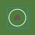 hyderabad/amma-donkey-farm-11575899 logo