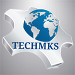 delhi/techmks-1161876 logo