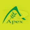 jaipur/apex-international-c-scheme-jaipur-117465 logo