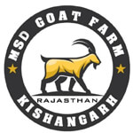 ajmer/msd-goat-farm-kishangarh-ajmer-11762949 logo