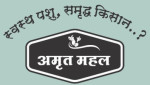 ujjain/patel-agro-feeds-11774617 logo