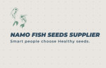 north-24-parganas/namo-fish-seeds-supplies-11900158 logo