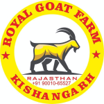 ajmer/royal-goat-farm-pvt-ltd-12004353 logo