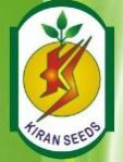 bidar/kiran-seeds-chitgoppa-bidar-12014945 logo