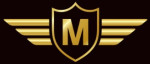 surat/molviza-international-private-limited-12303228 logo
