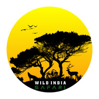 wardha/wild-india-safari-12638598 logo