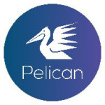 bangalore/pelican-faxtel-technologies-llp-indira-nagar-bangalore-12638985 logo