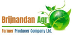 shamli/brijnandan-agro-farmer-producer-company-ltd-jhinjhana-shamli-12675328 logo