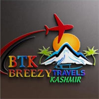 srinagar/breezy-travels-12683801 logo