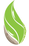 chennai/suraj-agimpex-house-mylapore-chennai-12697659 logo