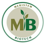 bangalore/meristem-biotech-12721231 logo