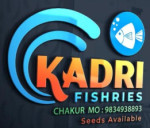 latur/kadri-matsya-suppliers-12777080 logo