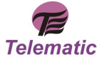 kolhapur/telematic-interactive-pvt-ltd-12822258 logo