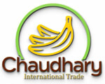 ghazipur/chaudhary-international-trade-12874206 logo