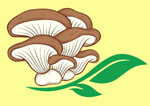 tenkasi/v2-farm-12889094 logo