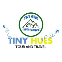 srinagar/tiny-hues-tours-and-travels-13172979 logo